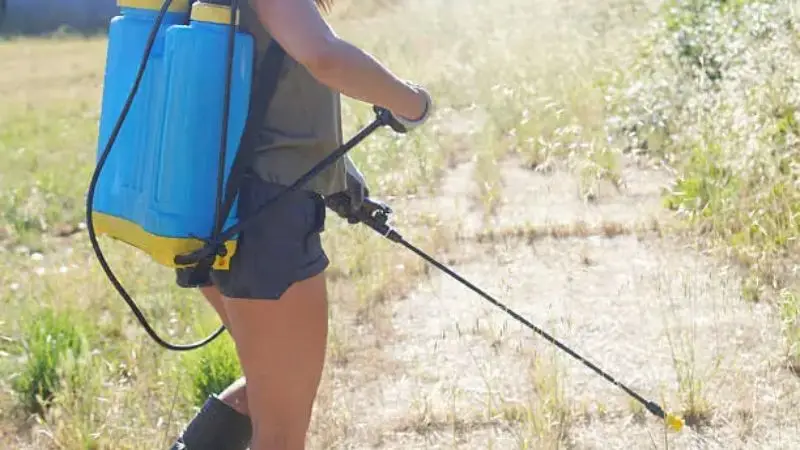 Features to Consider in a Backpack Sprayer
