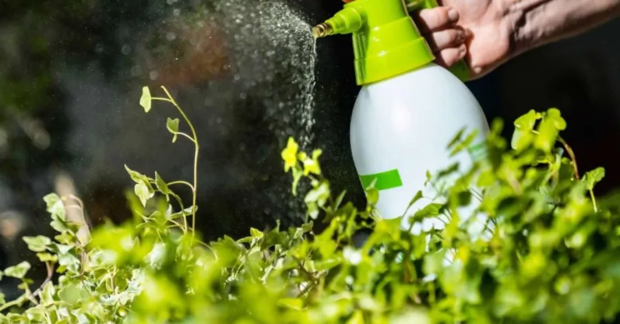 small pump sprayer