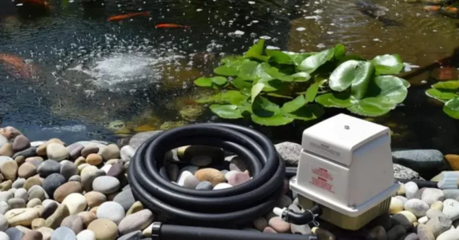 aeration of ponds