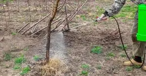 battery-powered garden sprayer