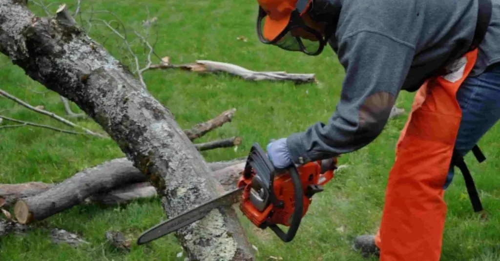 gas power chainsaw