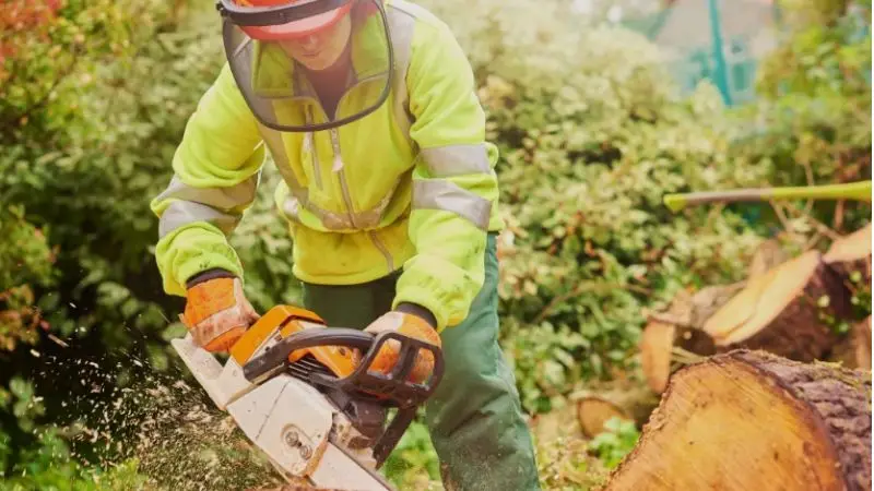 Which gas-powered chainsaw is best for your needs.