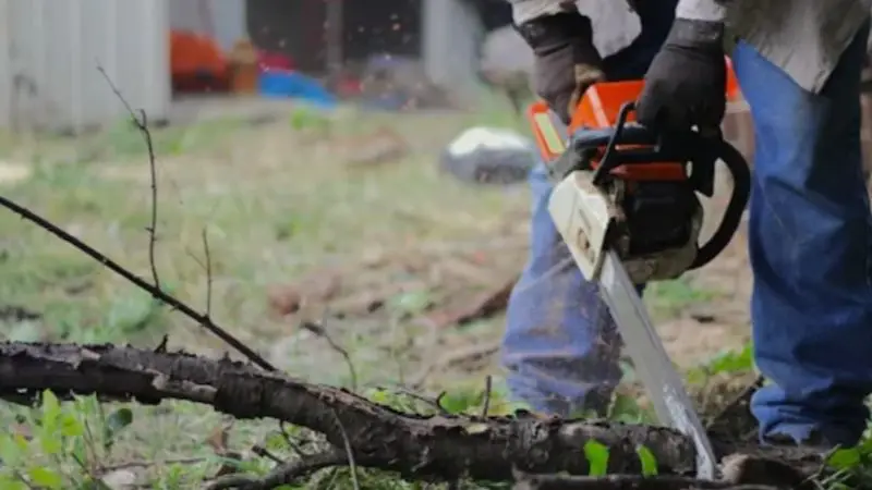 gas-powered chainsaw maintenance