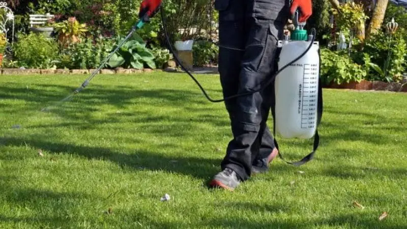 Pompa irroratrice per pesticidi
