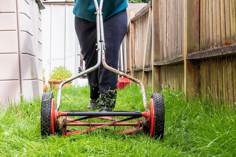 Reel mower on grass, showing why a mower blade grinder matters&nbsp;