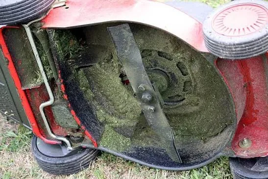 grass-caked lawn mower blade under the deck before sharpening