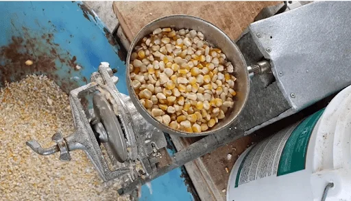 electric corn grinding machine cracking corn, placed on the table